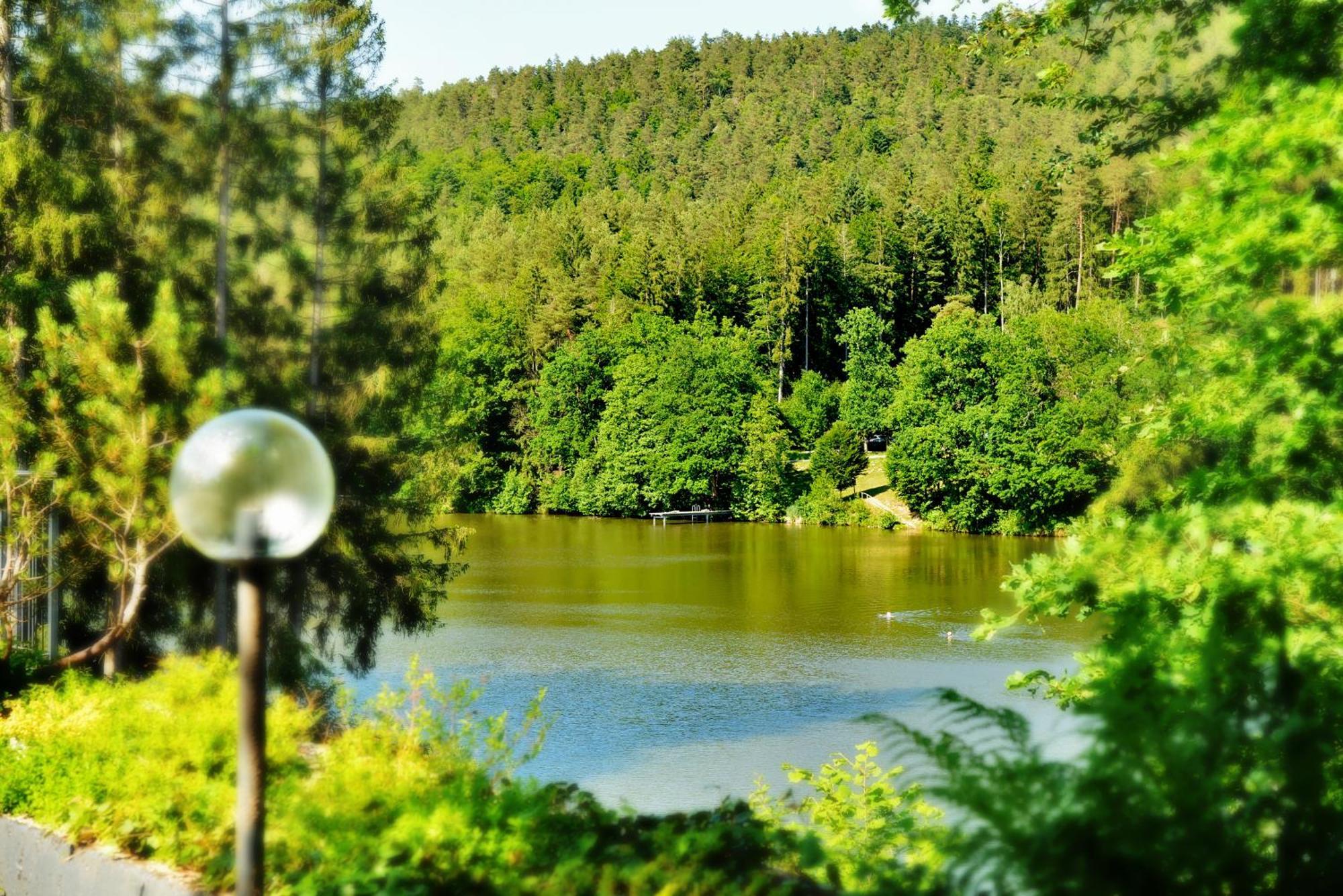 Das Dreiburgensee Naturhotel & Spa Thurmansbang Zewnętrze zdjęcie